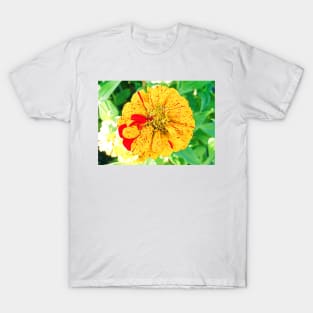 Zinnia Study 2 T-Shirt